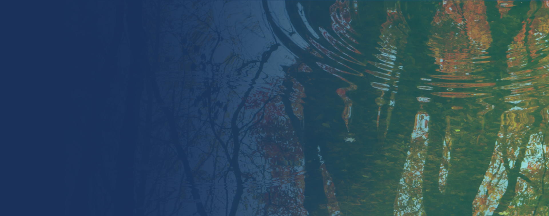 Orchestrator_Bravura_workflow_orchestration_header