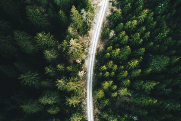 Aerial view of a dense forest in Europe