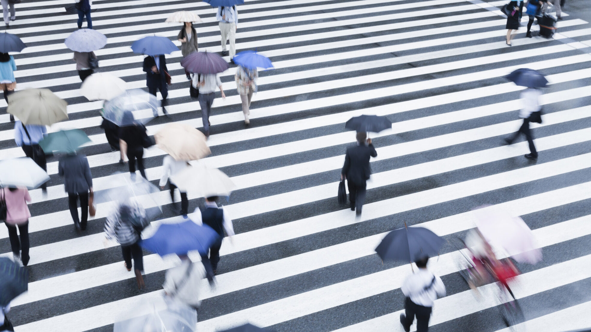 An image of people at the Crosswalk on a raining day in Tokyo