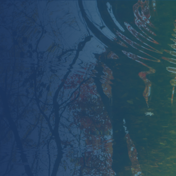 Orchestrator_Bravura_workflow_orchestration_header